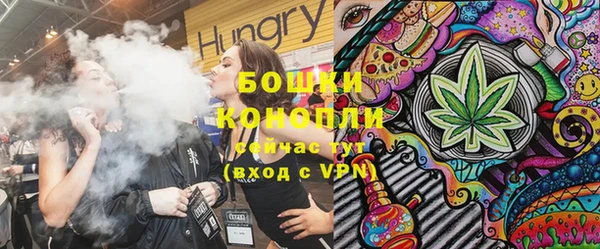 ПСИЛОЦИБИНОВЫЕ ГРИБЫ Верея