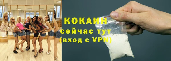 ПСИЛОЦИБИНОВЫЕ ГРИБЫ Верея
