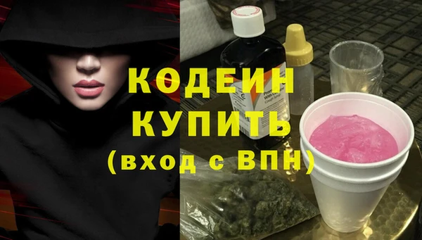 ПСИЛОЦИБИНОВЫЕ ГРИБЫ Верея