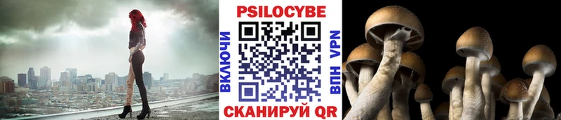 Псилоцибиновые грибы ЛСД Каневская